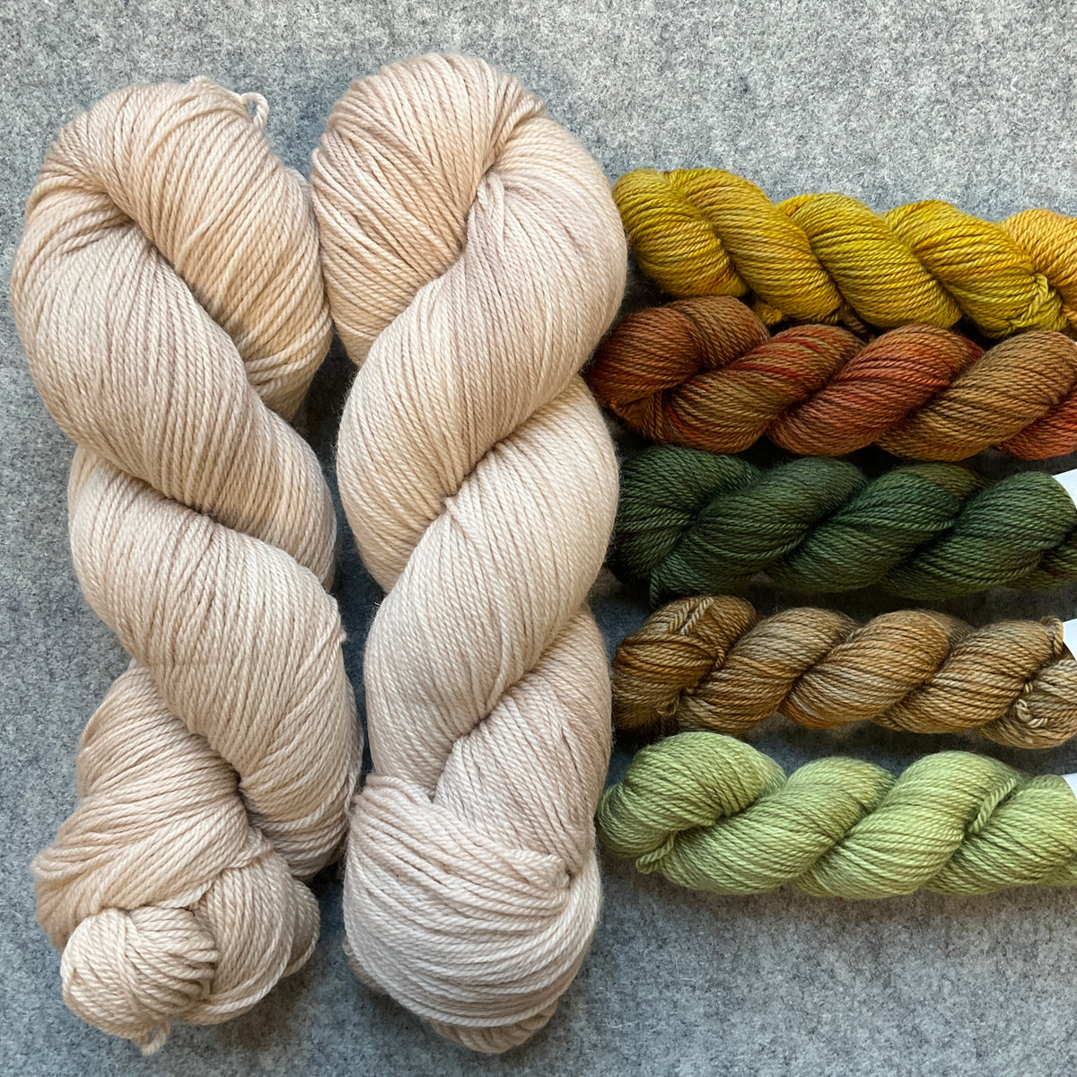 Show Your Colors Shawl by Paper Daisy Creations (Lisa Ross) KIT