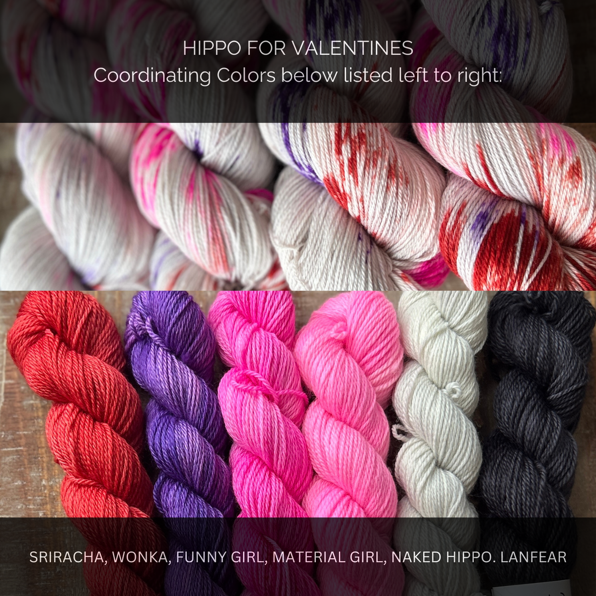 Hippo for Valentine's and Wonka Sock Set