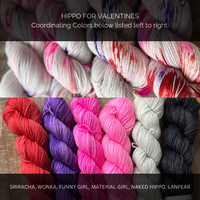 Hippo for Valentine's and Wonka Sock Set