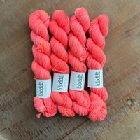 Bikini - Lil Lolo Loriginal - Tonal