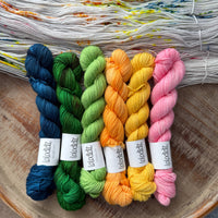 Spring Lil Lolo Pack