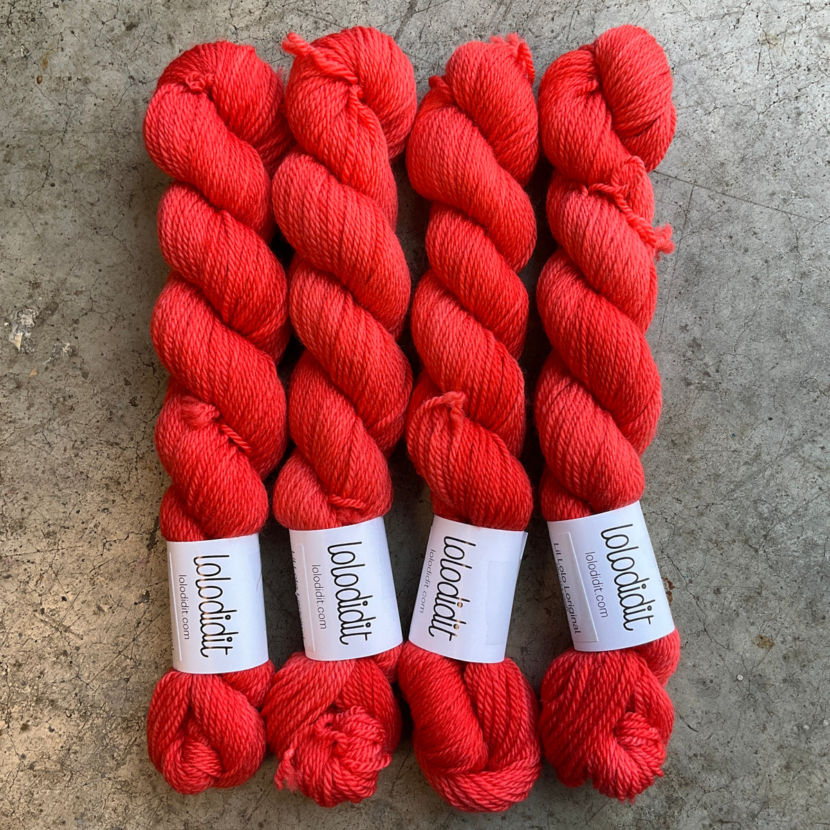 Not a Wallflower - Lil Lolo USA DK - Tonal