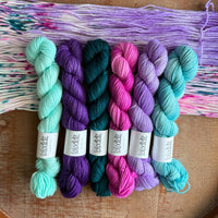 Popples Lil Lolo Pack