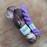 Squirrel! + Violet Beauregarde - Sock Set