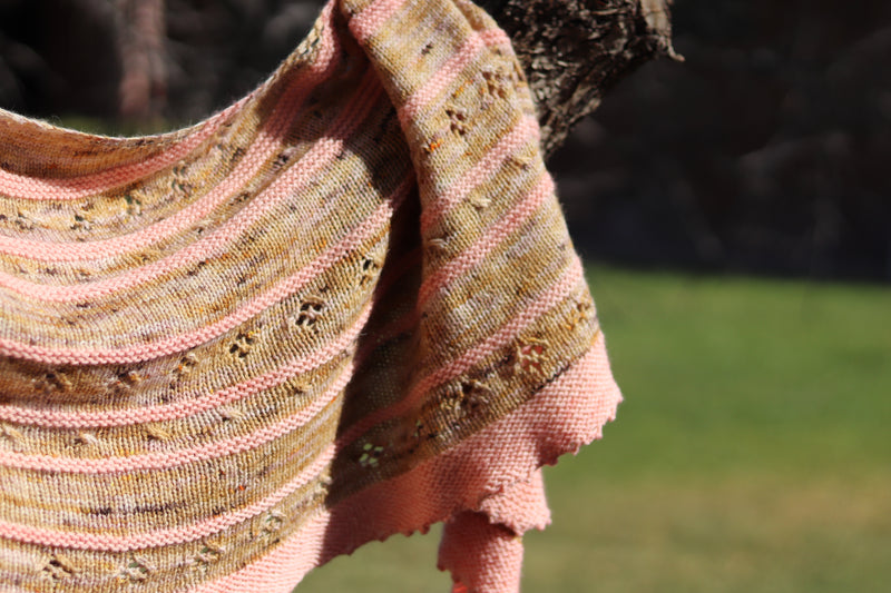 Besitos Shawl Pattern (fingering weight)